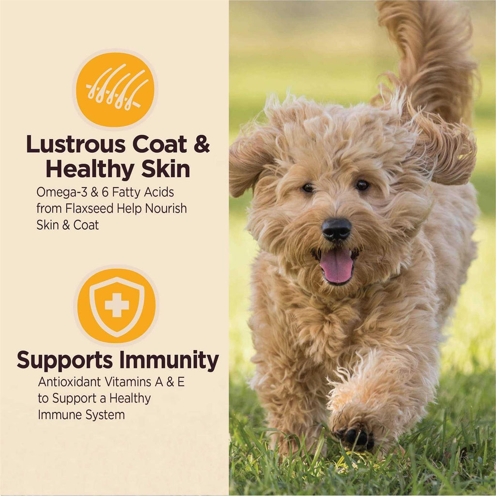 Dry Dog Puppy Food D444