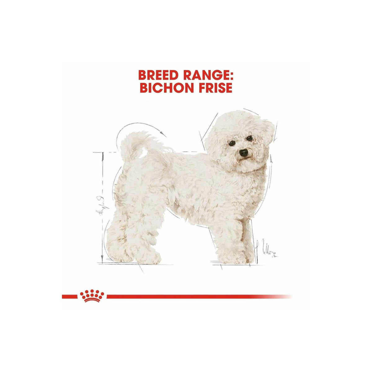 Adult Bichon Frise Dry Dog Food H6598