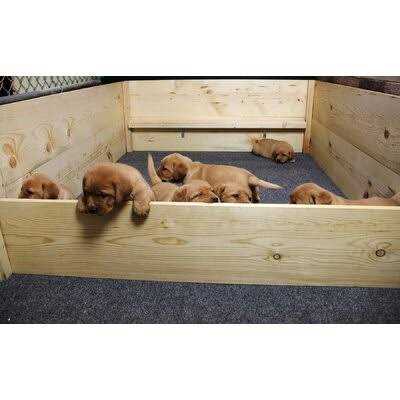 Whelping Box Liner Mat R630