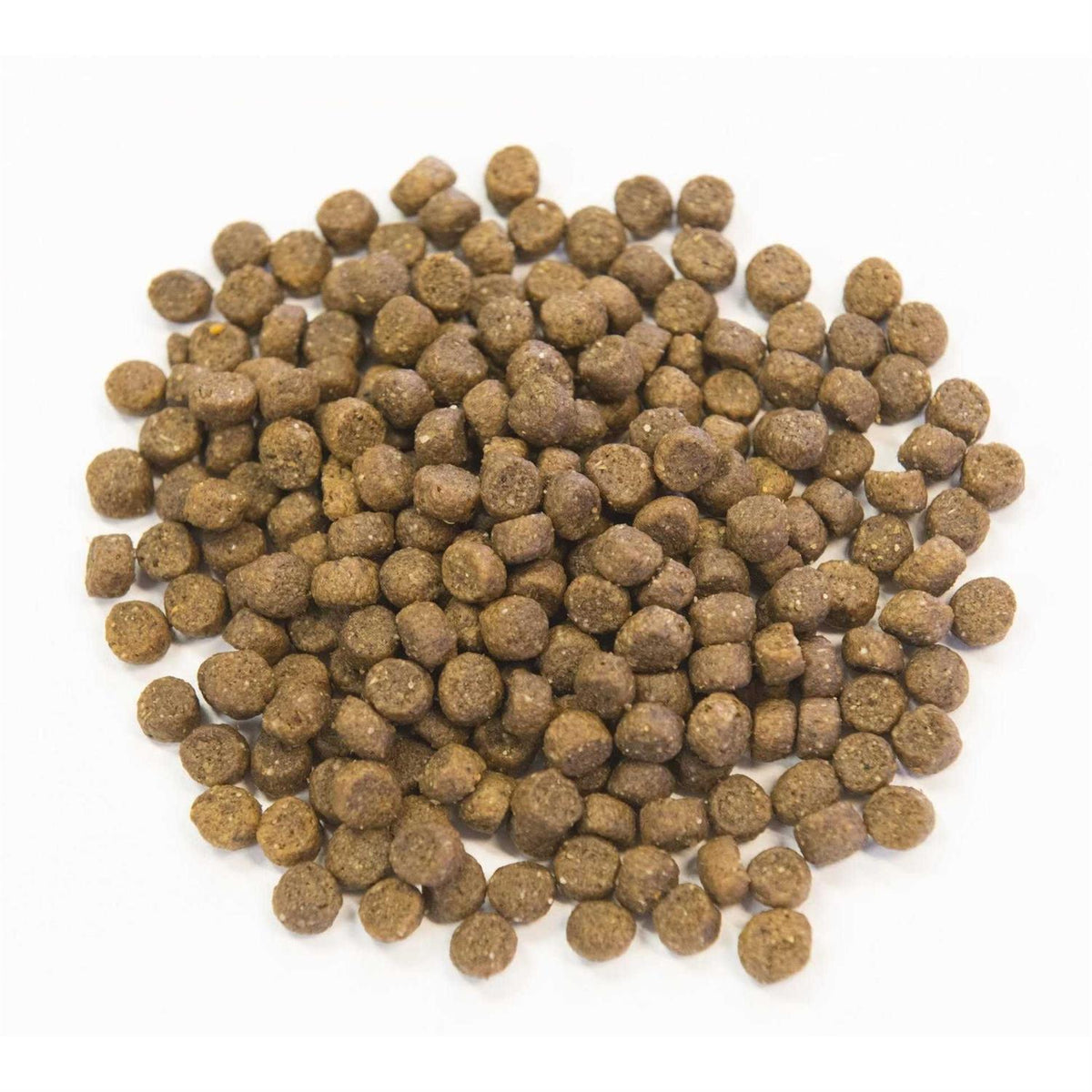 Chicken Meal & Pork Meal Recipe with Ancient Grains Dog Food J968972