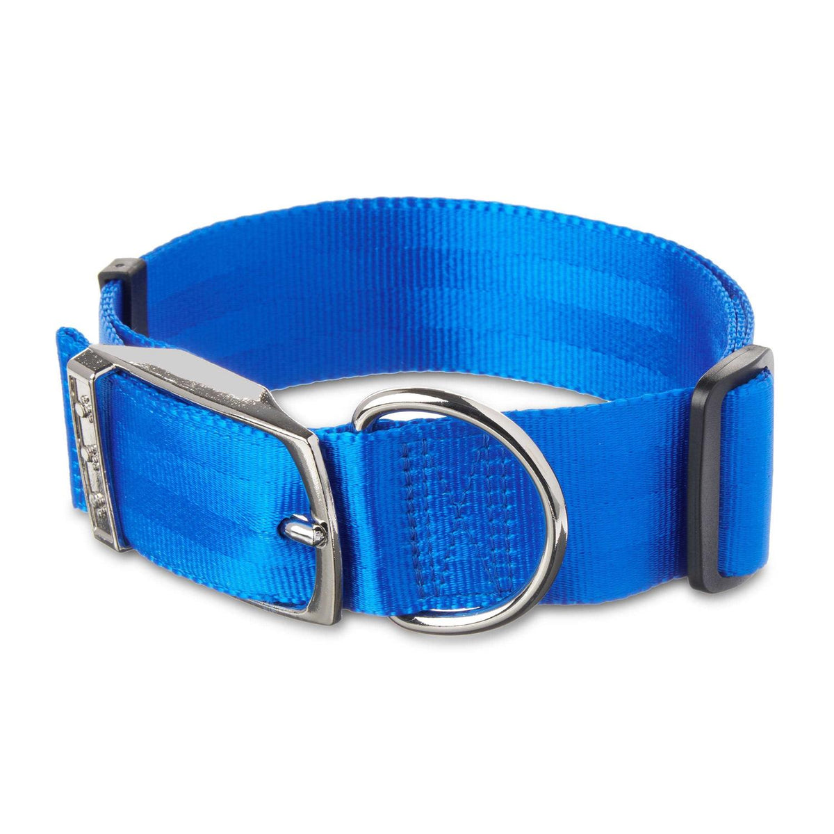 Solid Dog Collar with Metal Buckle F715