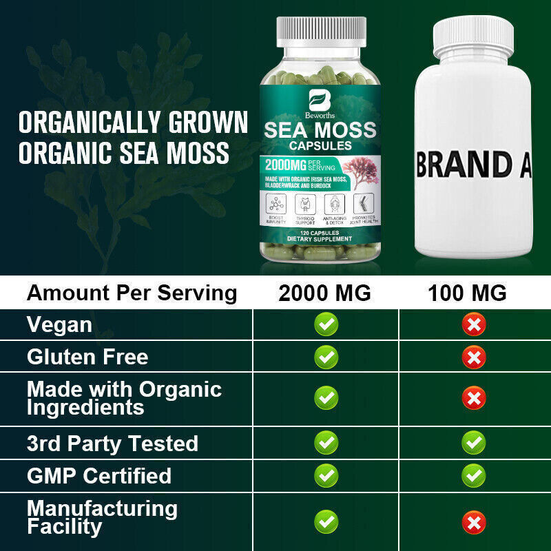 Organic Sea Moss bladder wrack & Burdock Root 120 Capsule Z4225