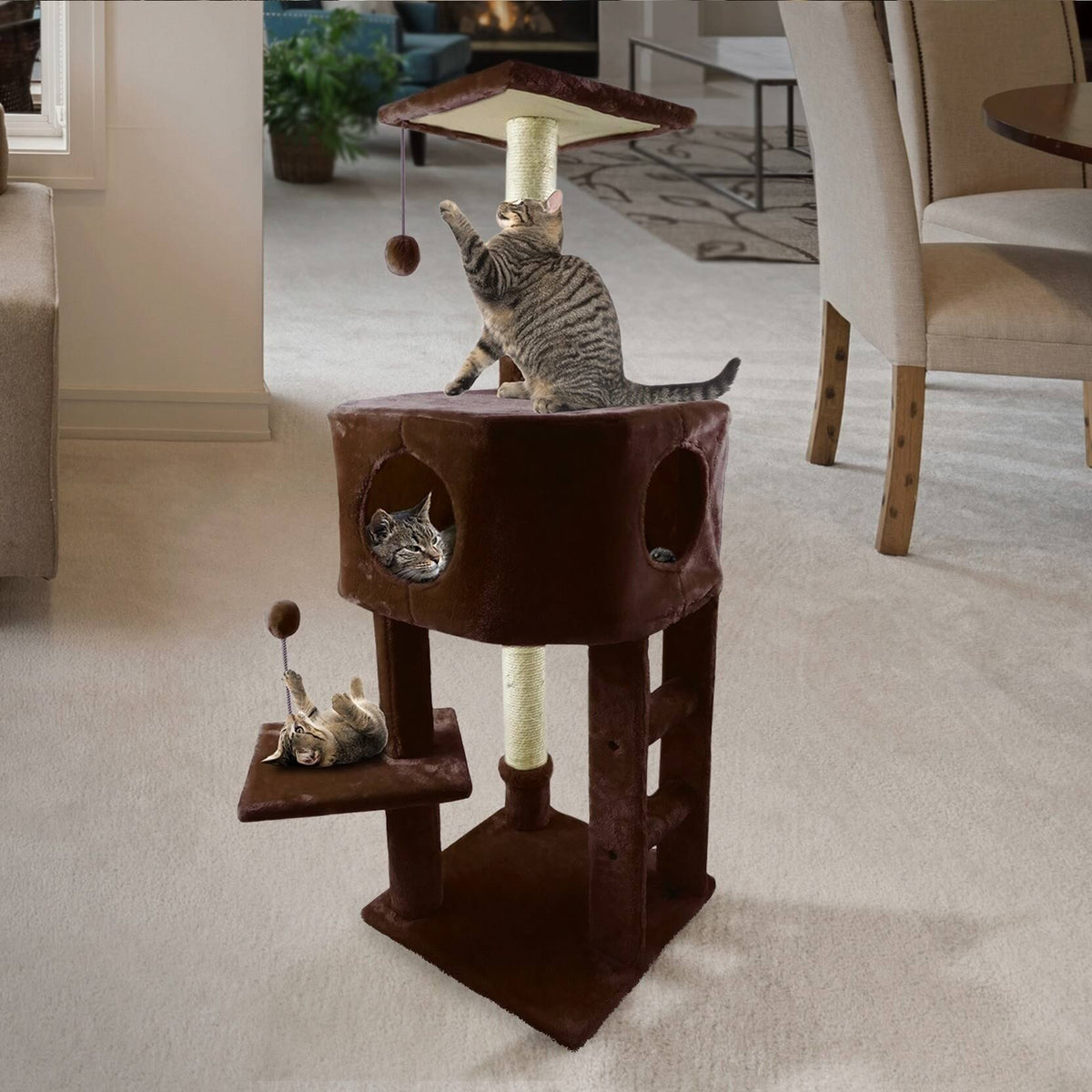 Cream Cat Playground U567