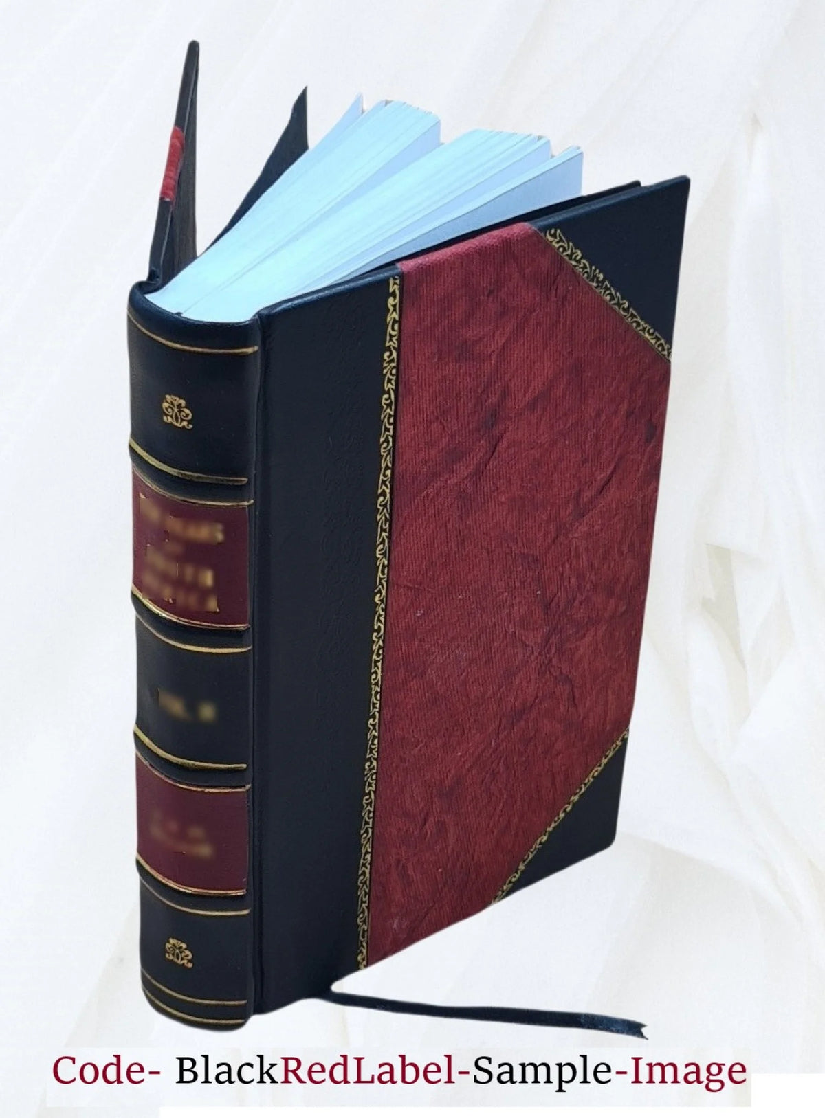 Recollections of a Diplomat 1918 Leather Bound B739