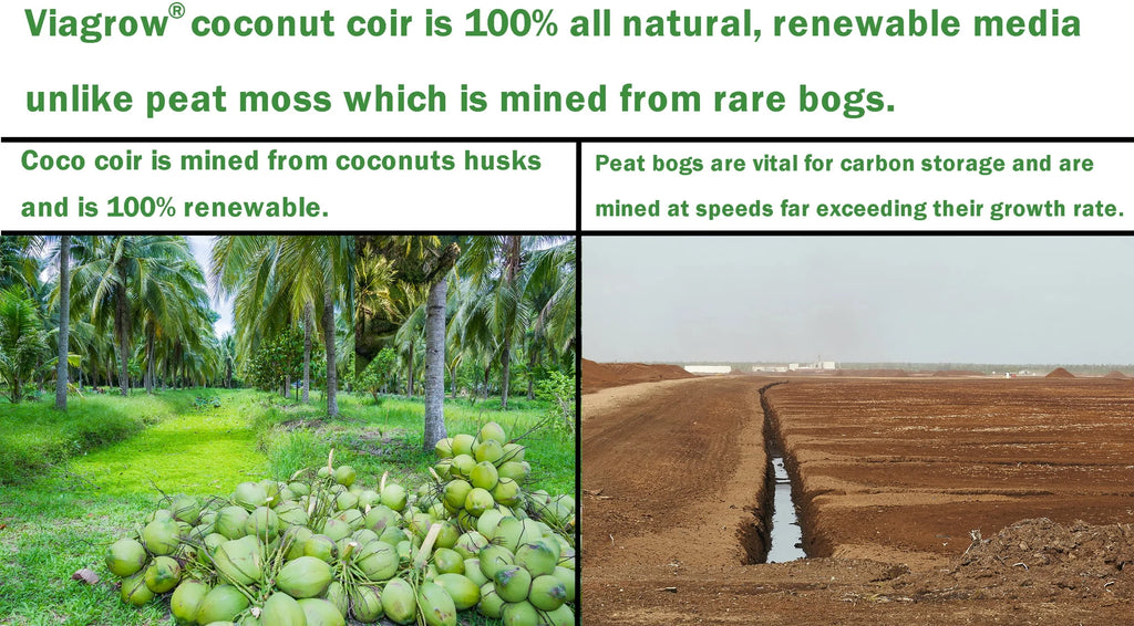 11 lb. Coconut Coir Block O1818