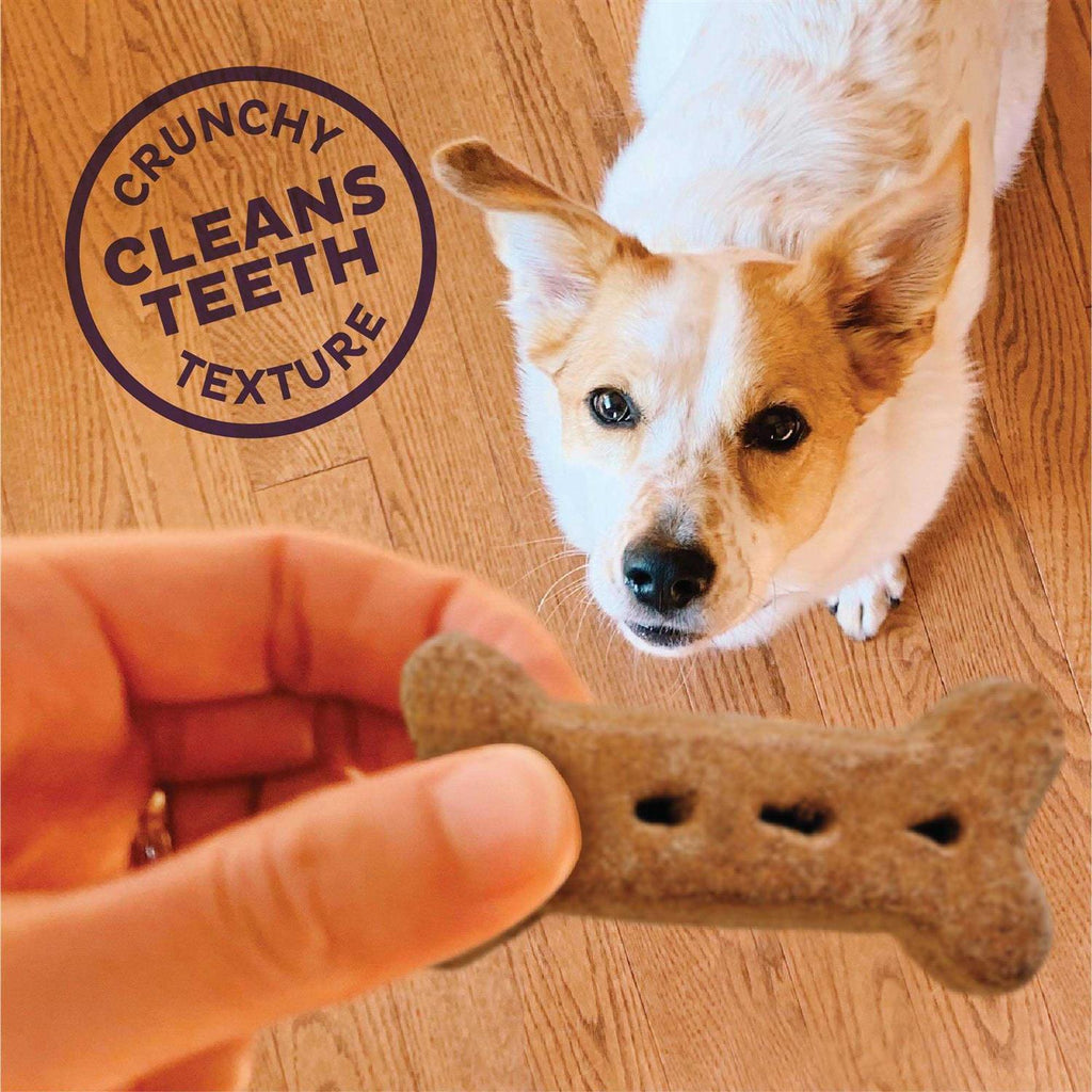 Natural Large Biscuits Dog Treats W323